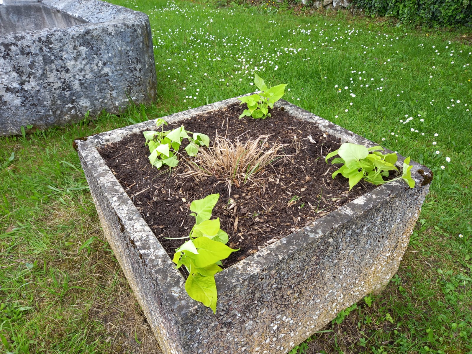 Bac Rhien La fontaine plantation.jpg