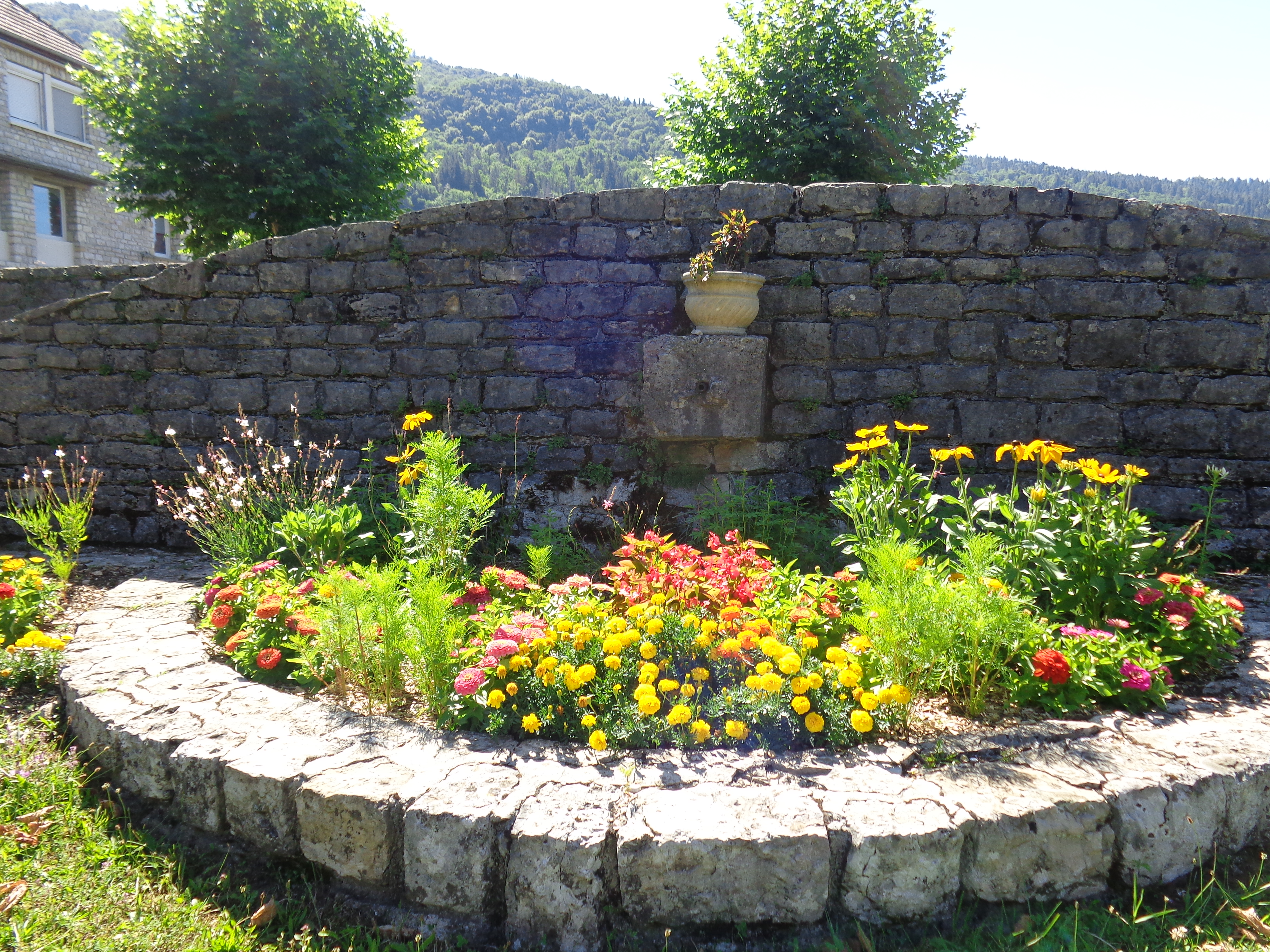DSC06002.JPG