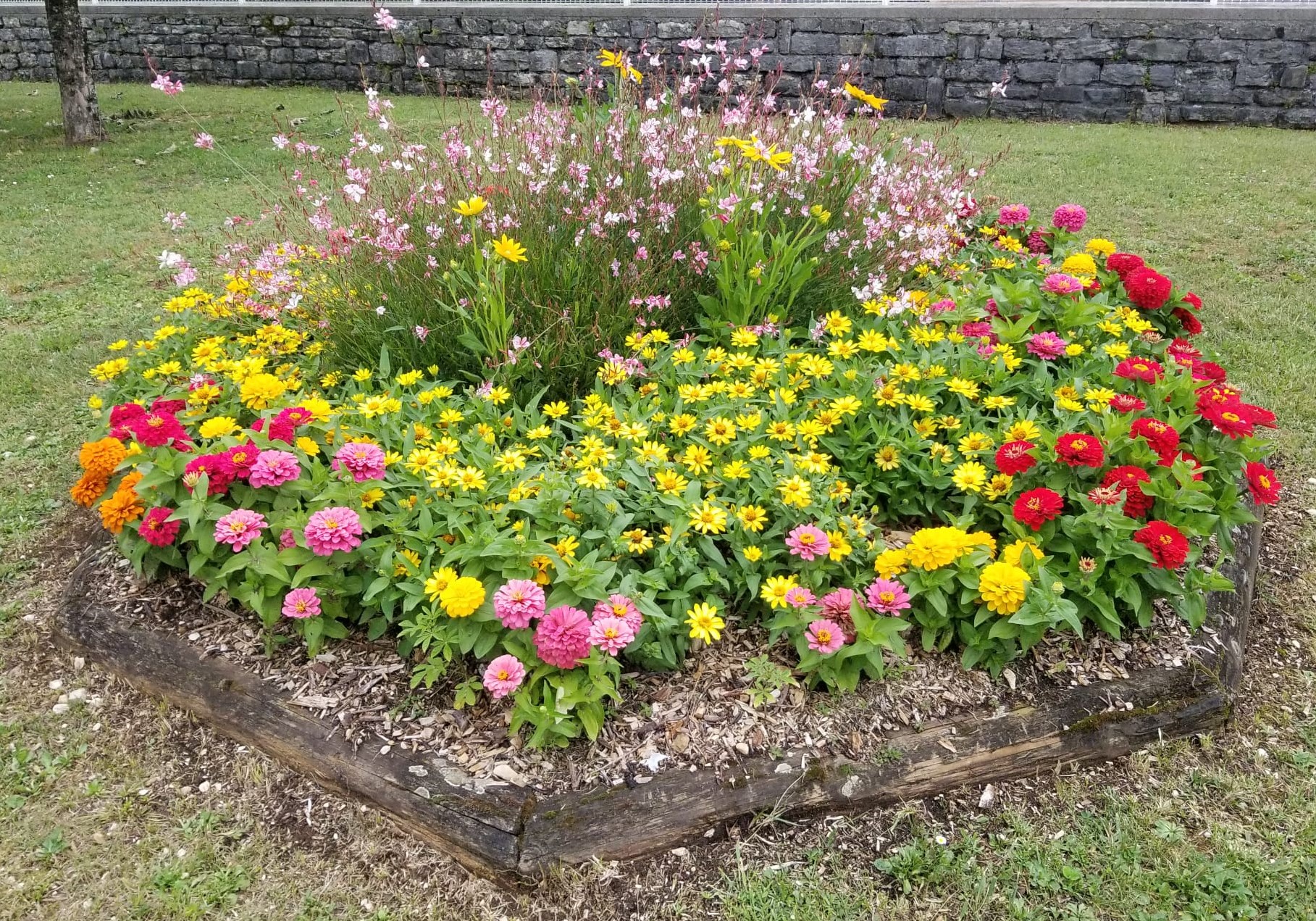 Parterre Eglise.jpg