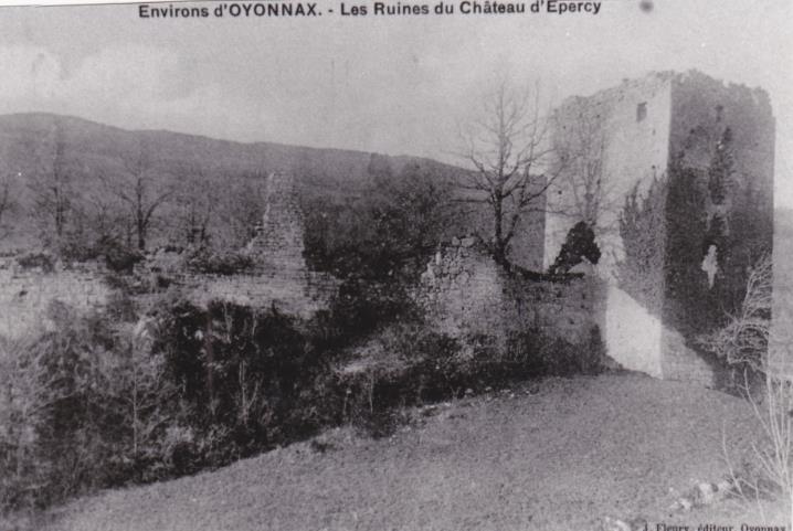 Ruines_chateau_Epercy.jpg