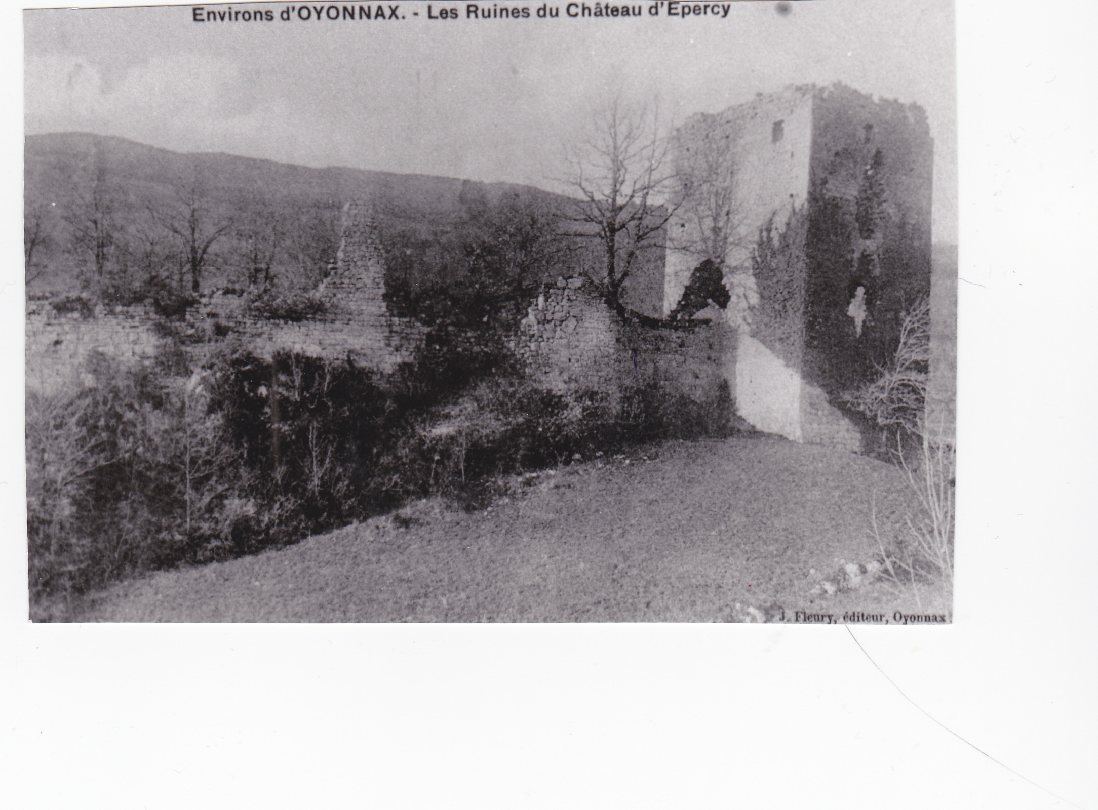 ruines du château d_Epercy.jpg