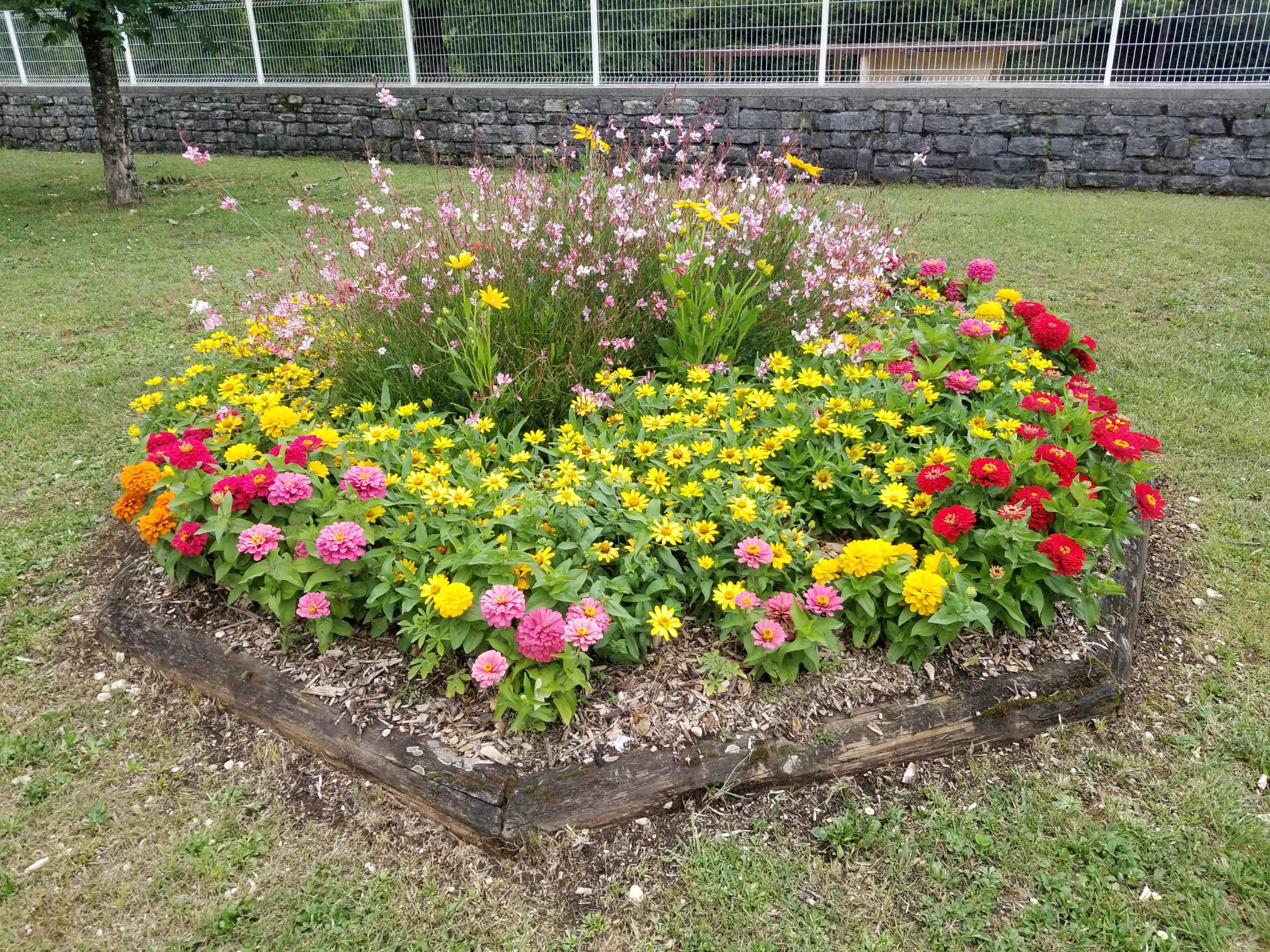 Parterre Eglise 2.jpg