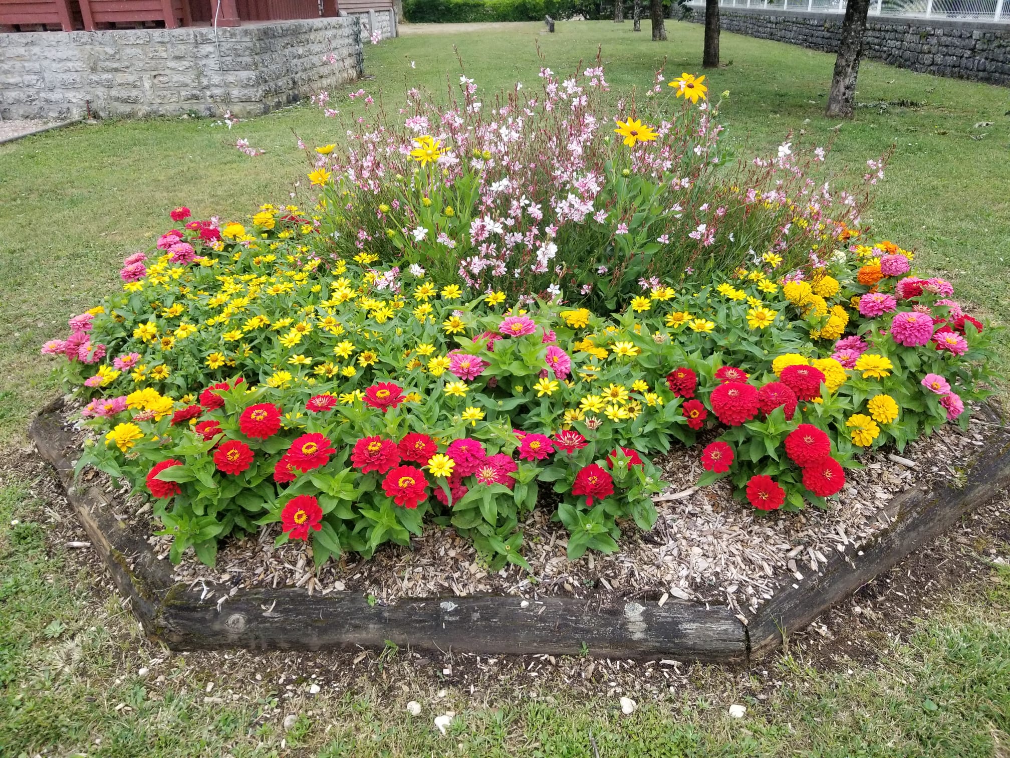 Parterre Eglise 3.jpg