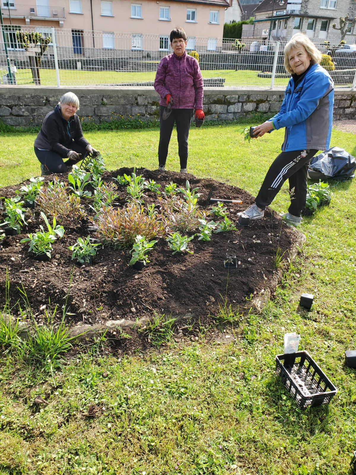 Plantation parterre église.jpg