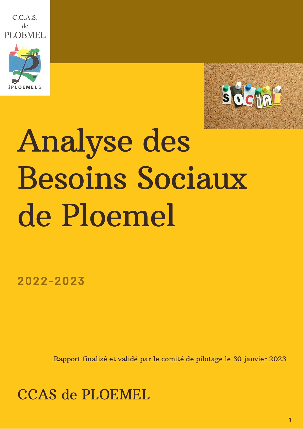Rapport Analyse des Besoins Sociaux Ploemel_page-0001.jpg