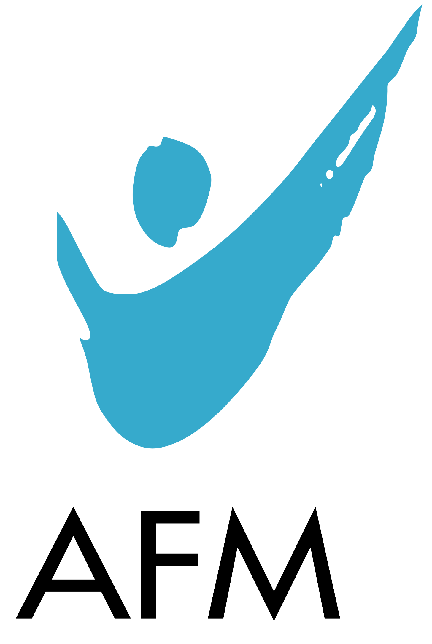 afm-63341.png
