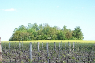 tumulus