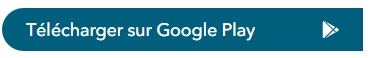 google.jpg