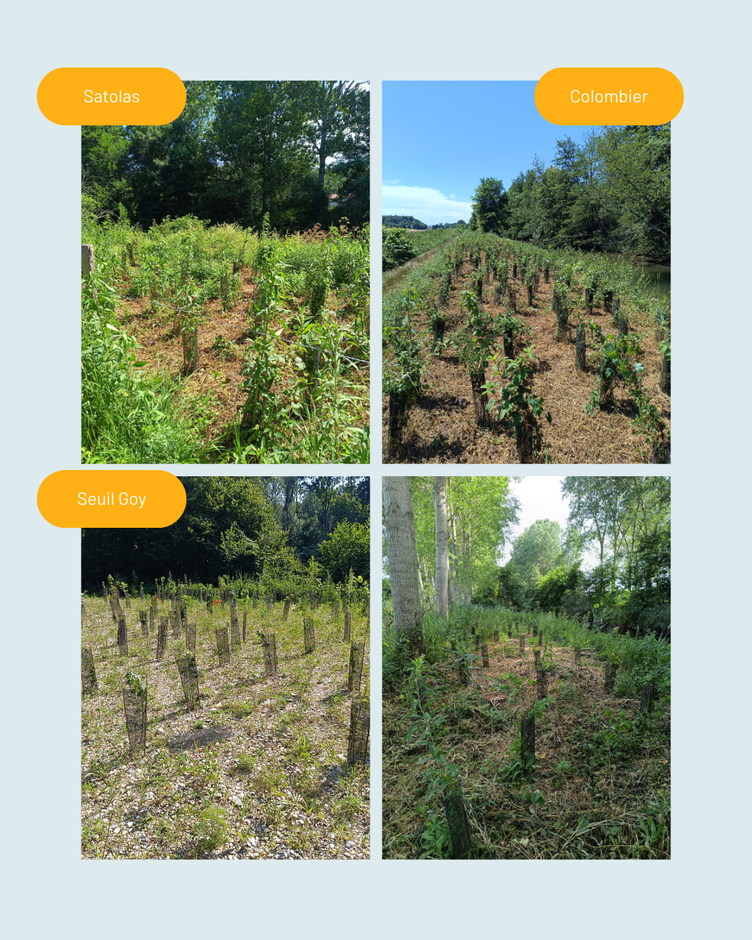 2 - mesure compensatoires - PAPI.png