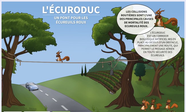 vignette-ecuroduc.jpg