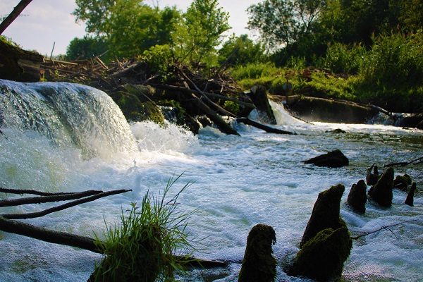 Copie de Photo _16_.jpg