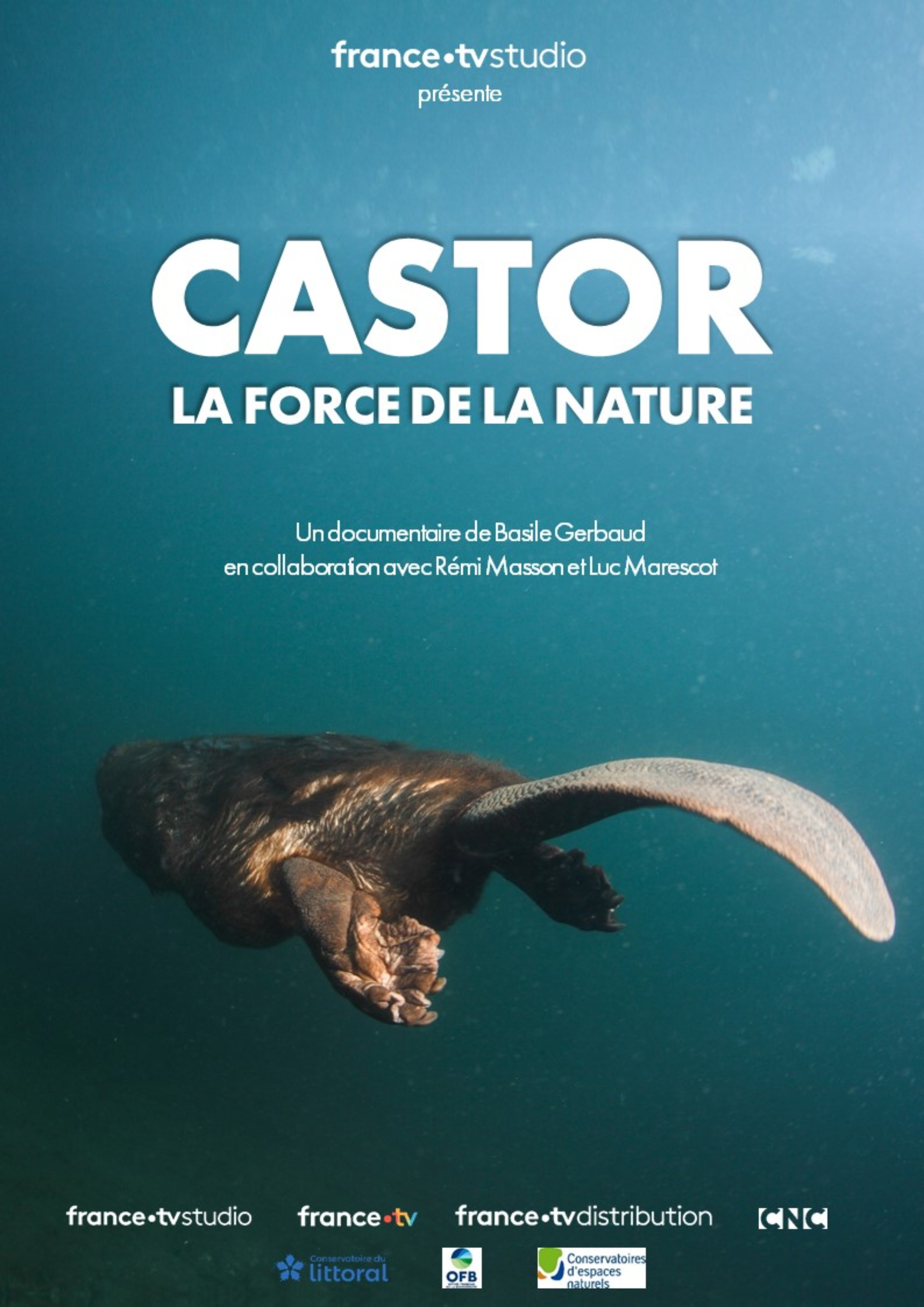 Affiche-CASTOR_Haute def.jpg