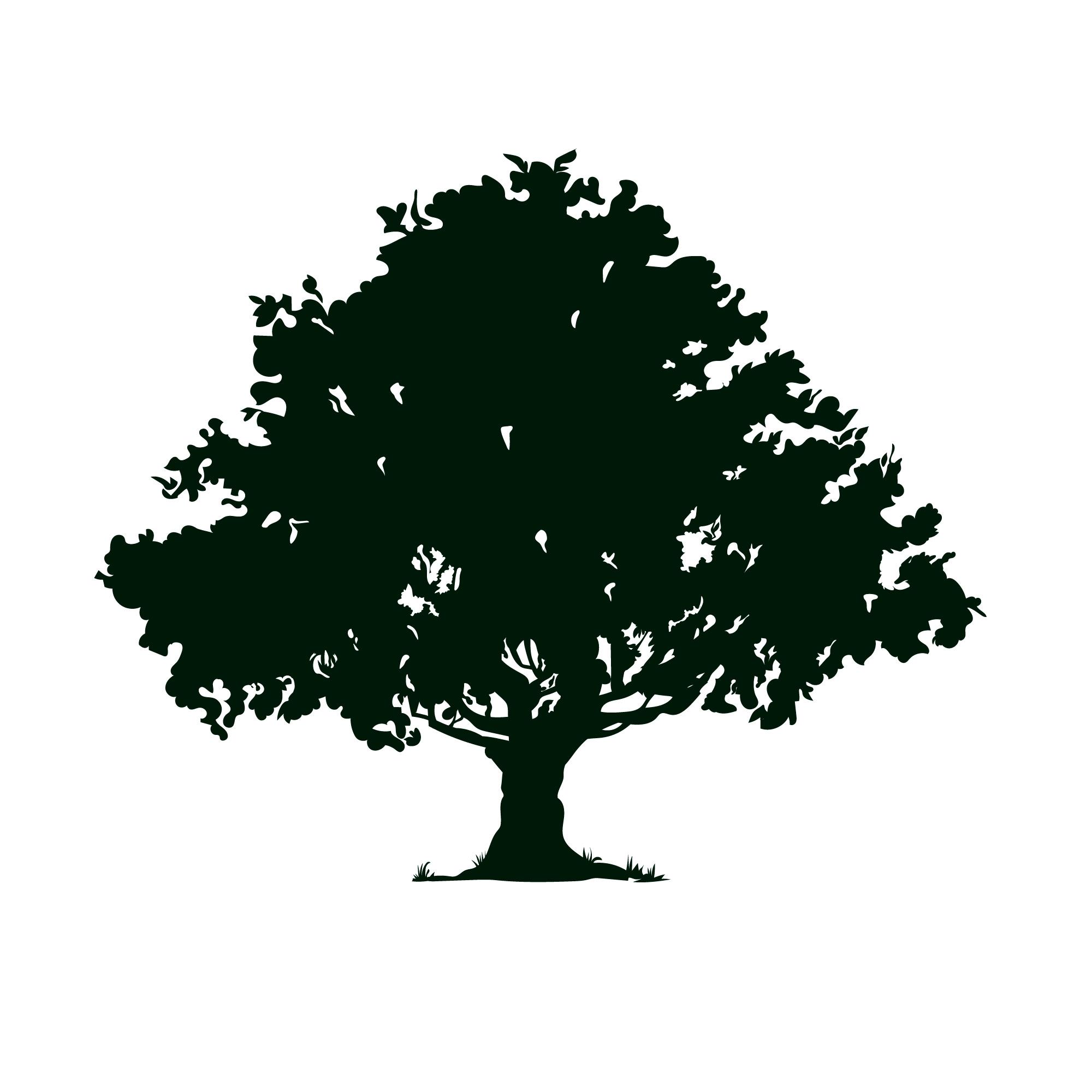 Logo Arbre.jpg