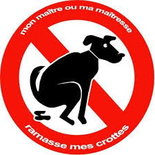 crottes.jpg