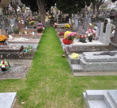 allee enherbee cimetière.jpg