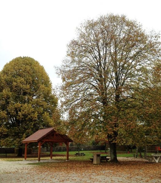 abri barbecue parc et arbres.jpg