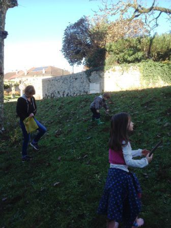 plantation bulbes enfants.jpg