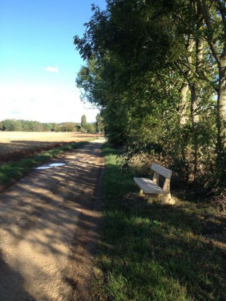 chemin biche banc.jpg