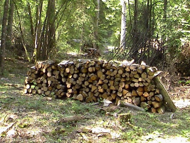 Tas de bois.jpg