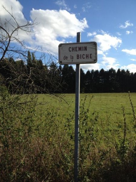 panneau chemin biche.jpg