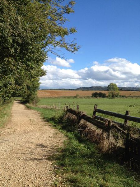 chemin de la biche.jpg