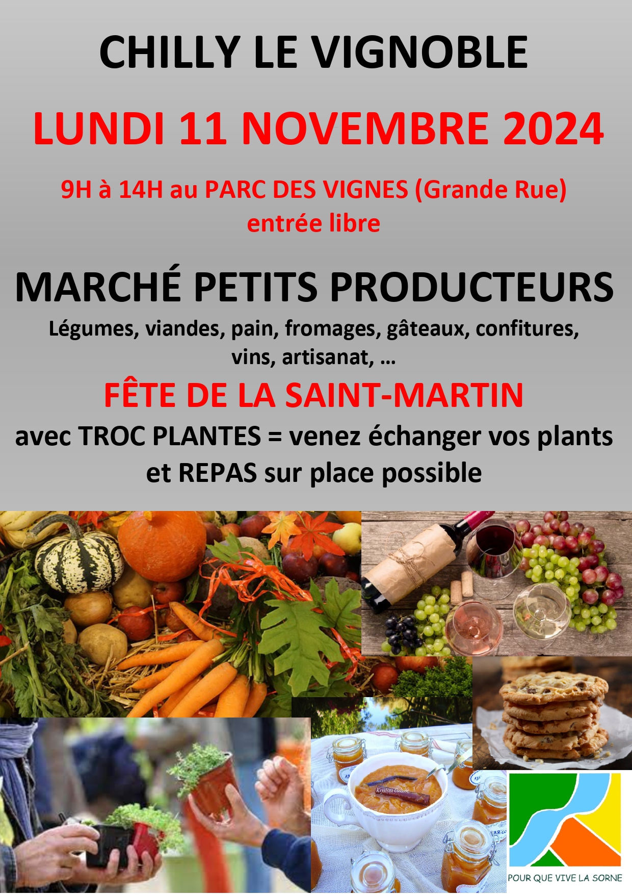 Flyer marche_ St Martin du 11 11 2024_page-0001.jpg
