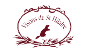 VISONS.png