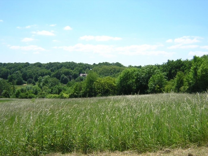 chateau7.jpg