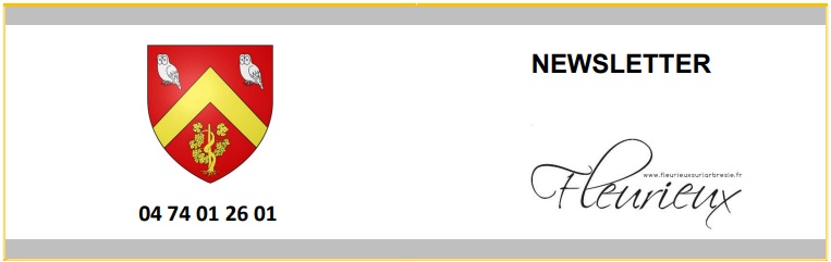 entete newsletter.jpg