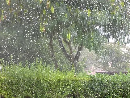 pluie jardin.jpg
