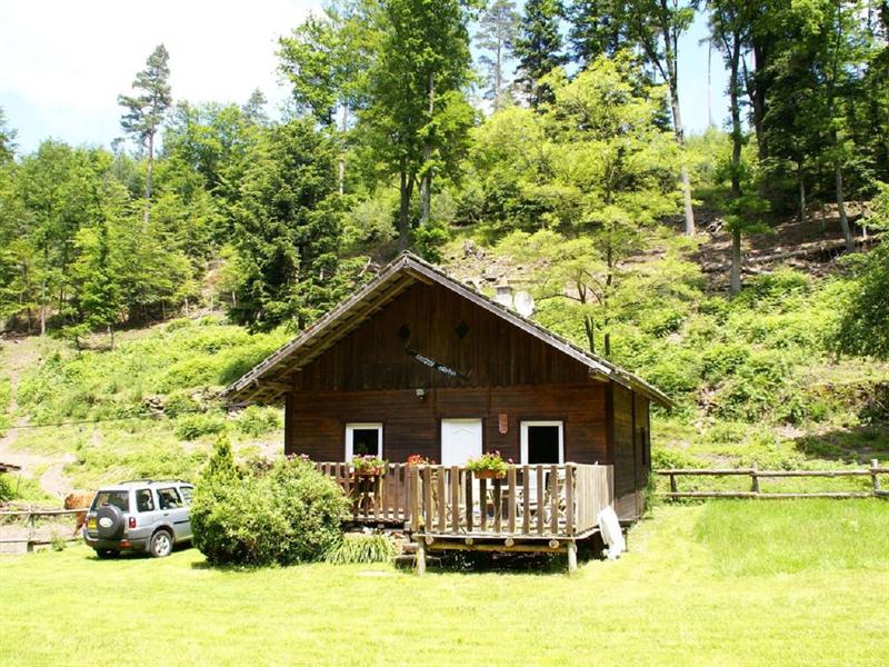 La petite maison en bois.jpg