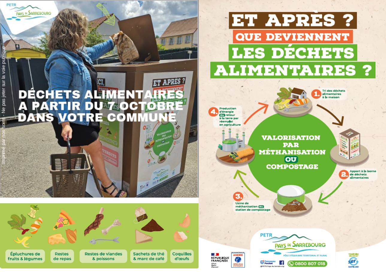 déchets alimentaires.jpg