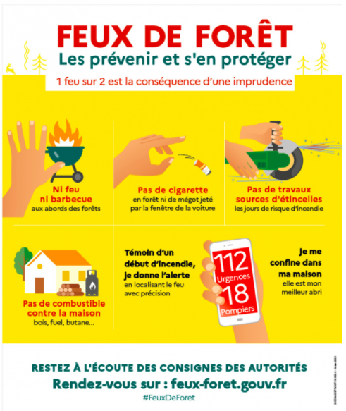 Feux de forêt.png