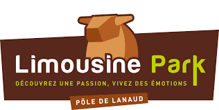 limousine park.png