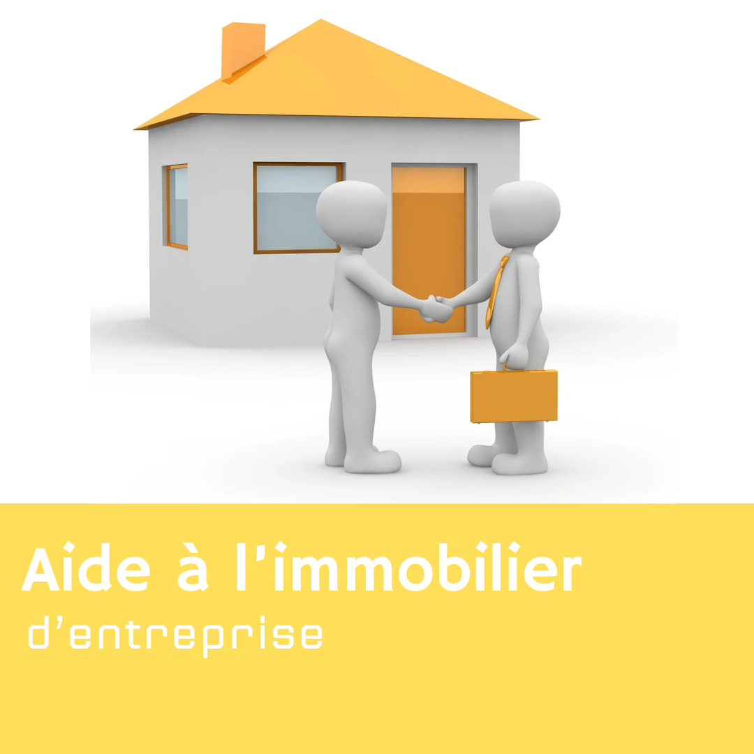 Icone site aide immobilier.png