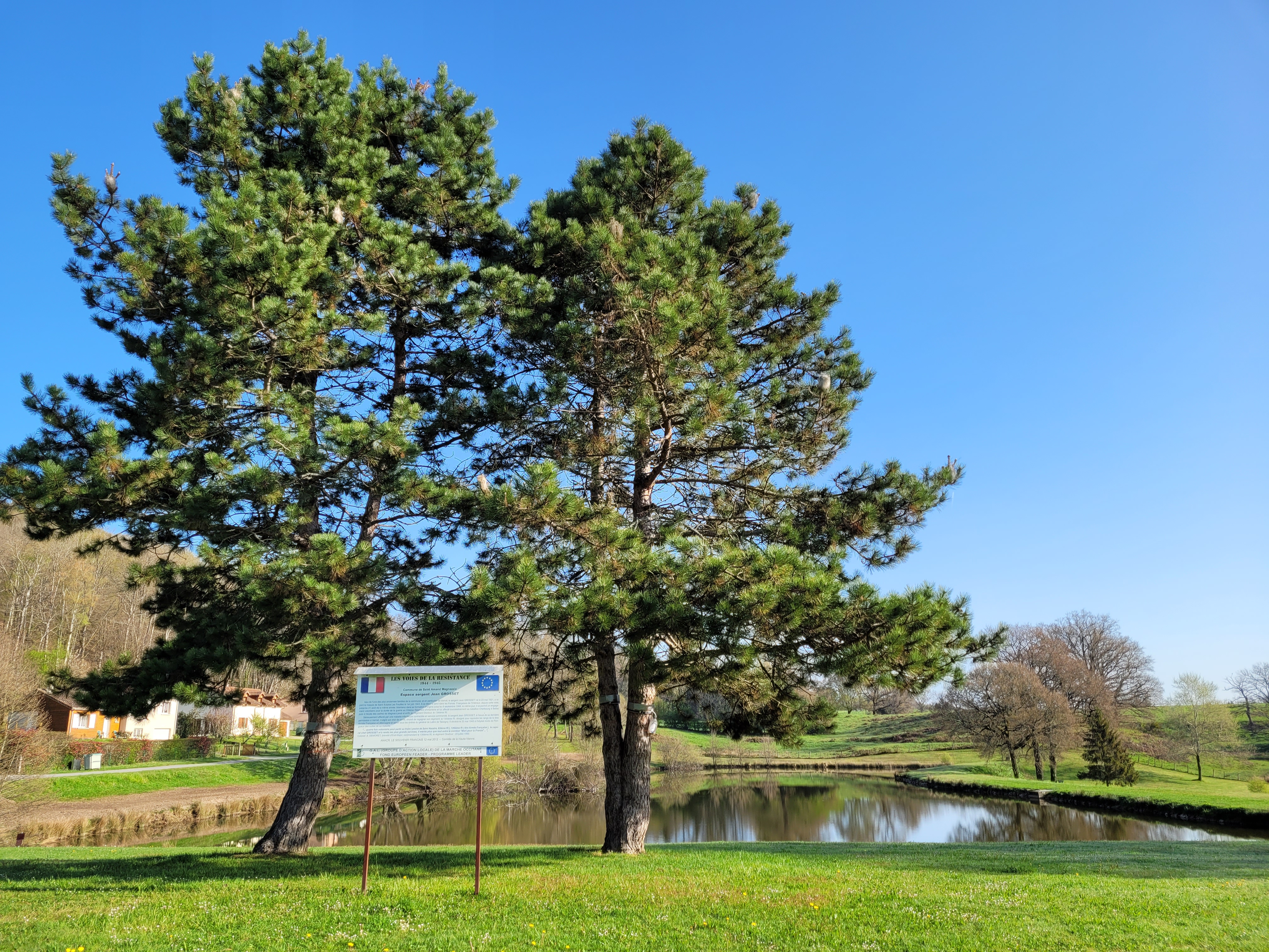 Saint Amand Magnazeix arbres et paneau