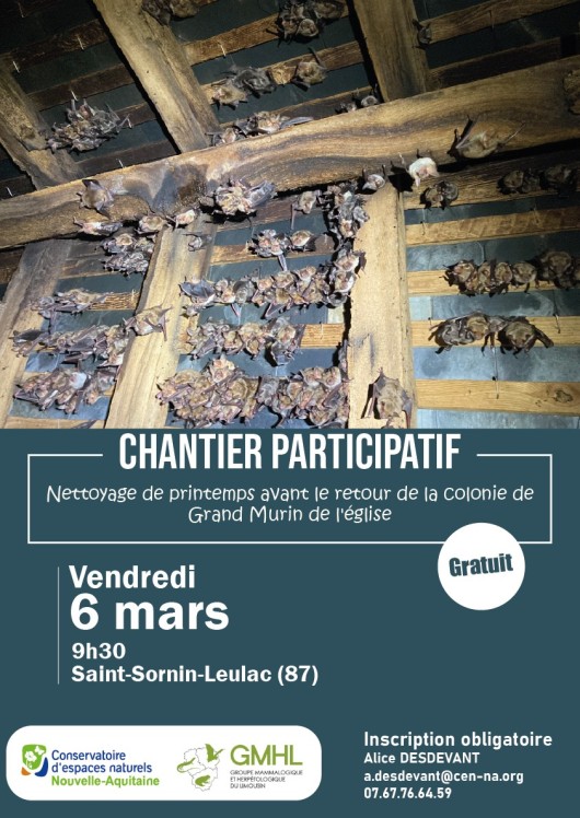 chantier st sornin.jpg