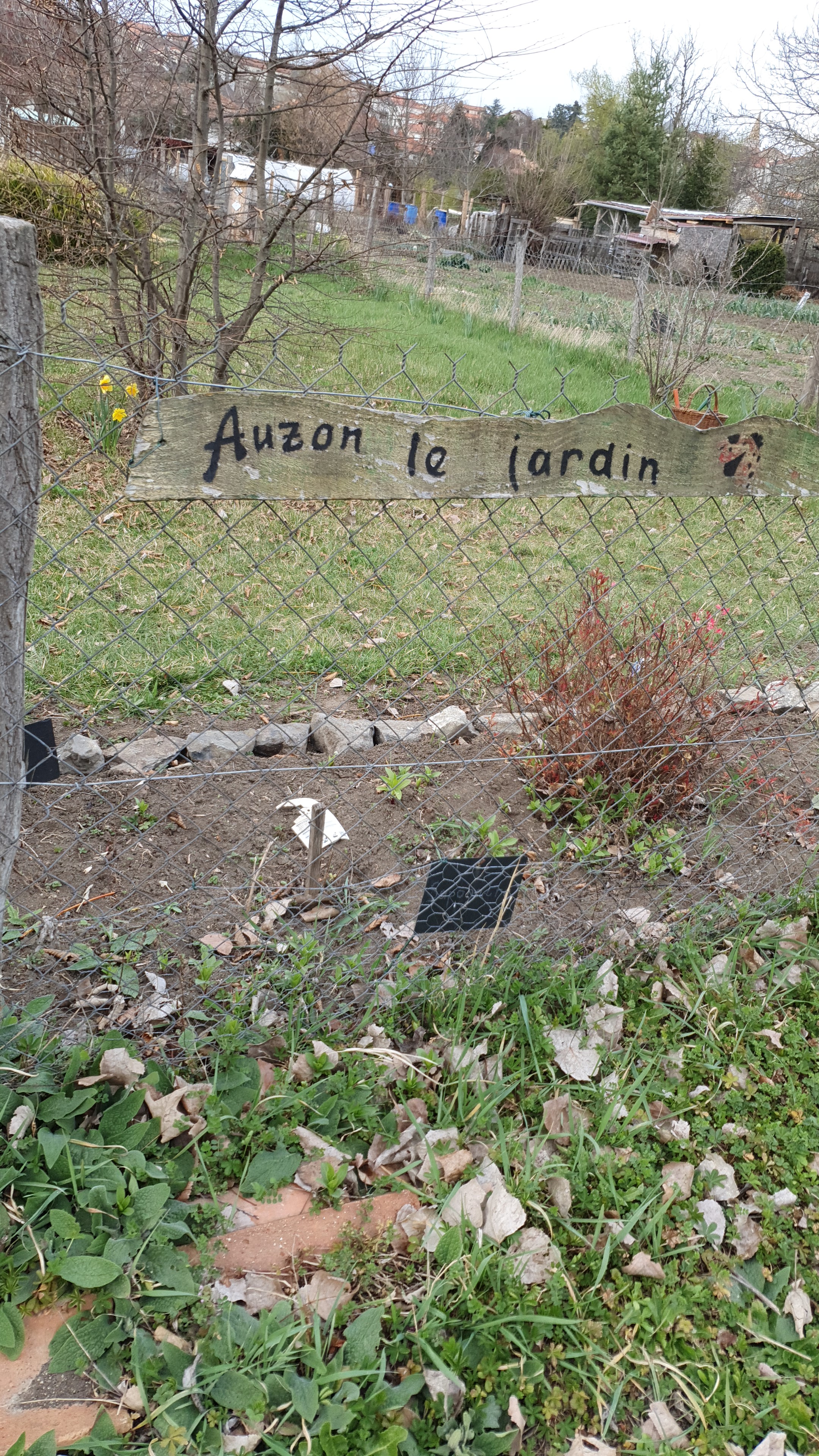 visite du jardin de l'Auzon 11 mars 2021