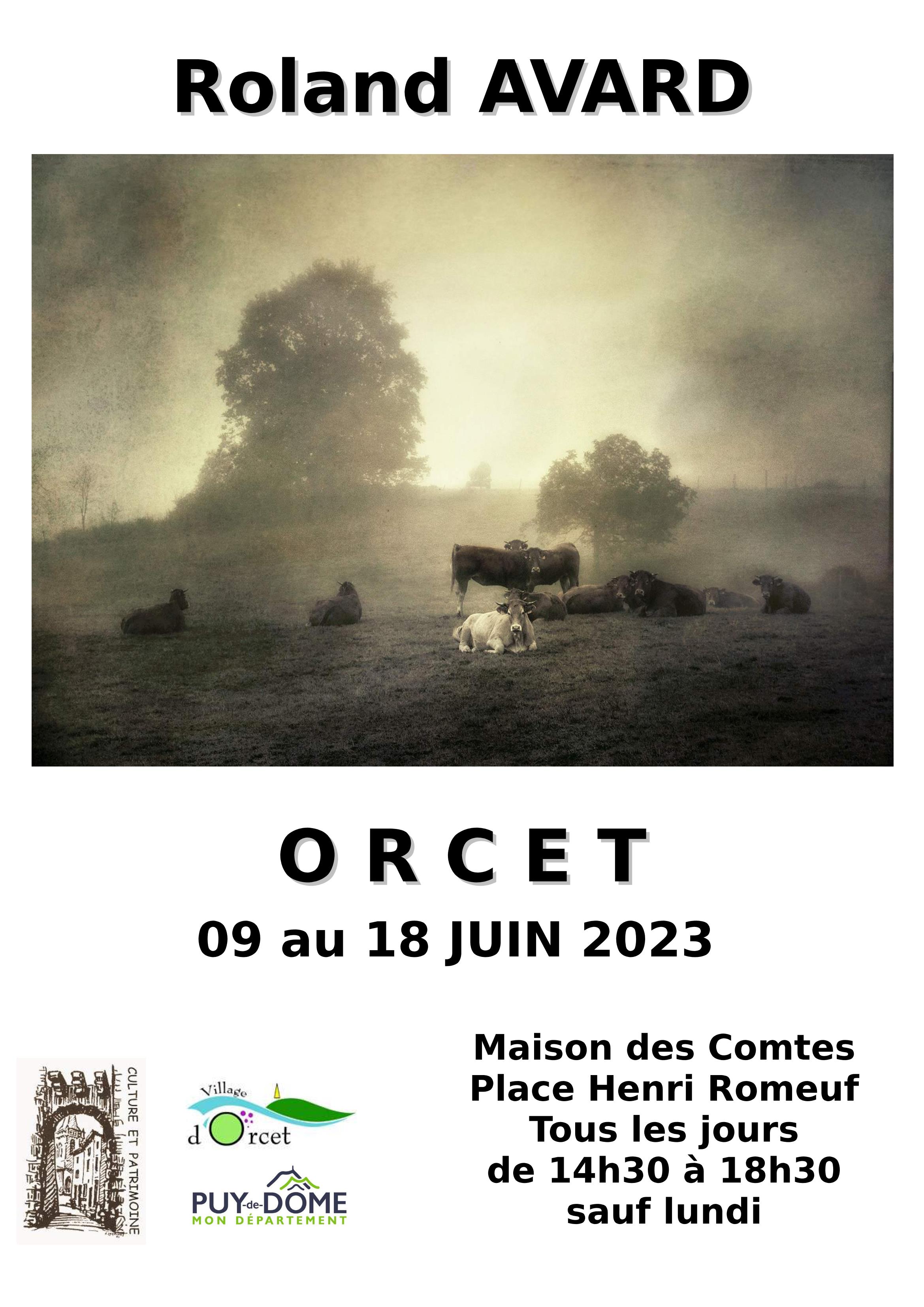 p 3 affiche Roland AVARD.jpeg