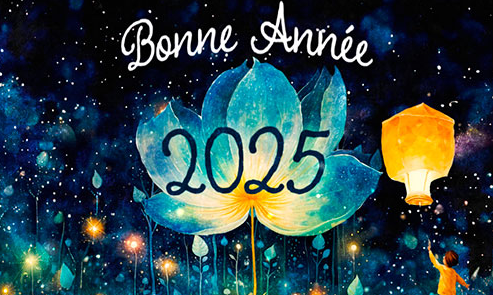 BONNE ANNEE 2025.png