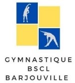 LOGO section gym bscl.jpg