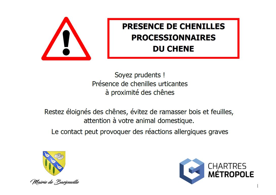 ATTENTION CHENILLES PROCESSIONNAIRS.JPG