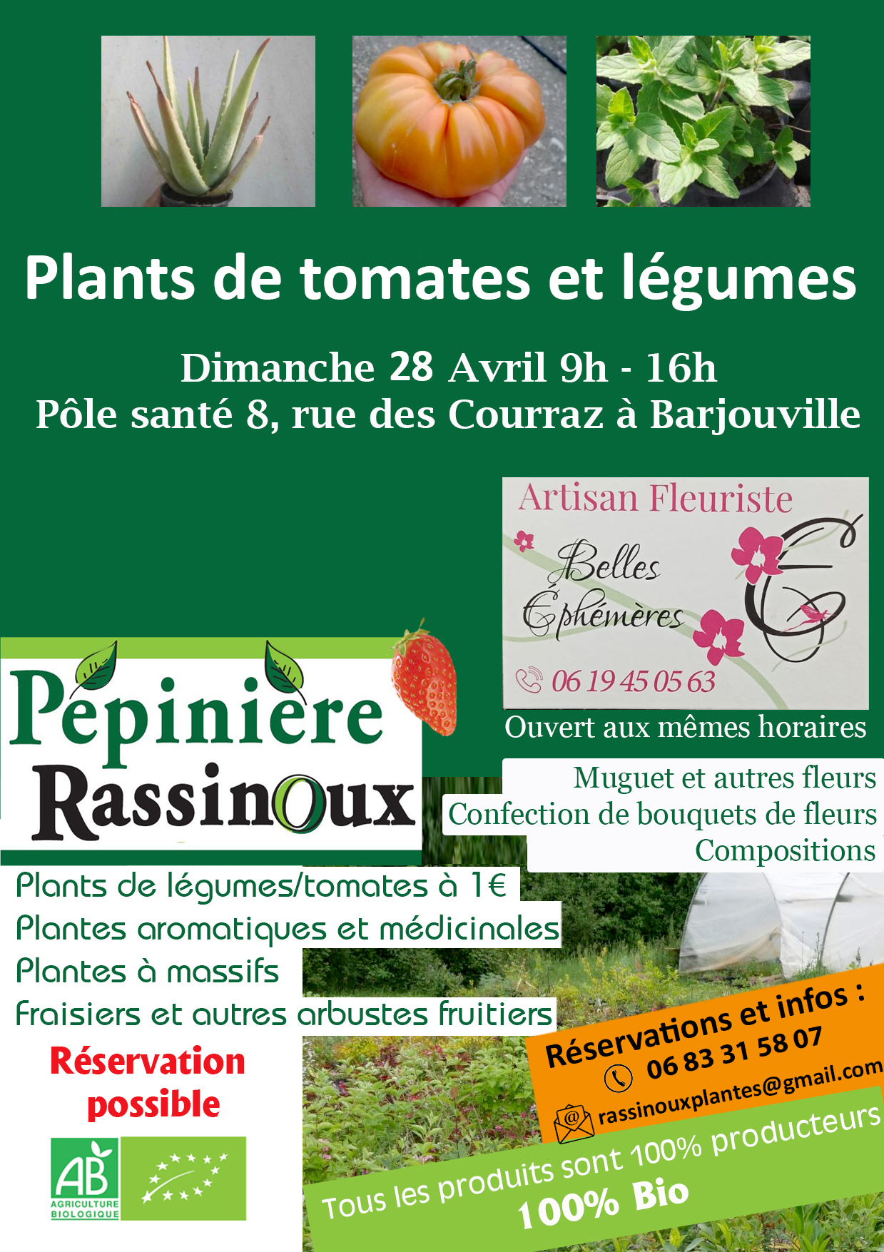 2024 Rassinoux plantes - Barjouville.jpg