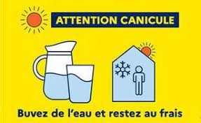 canicule.jpg