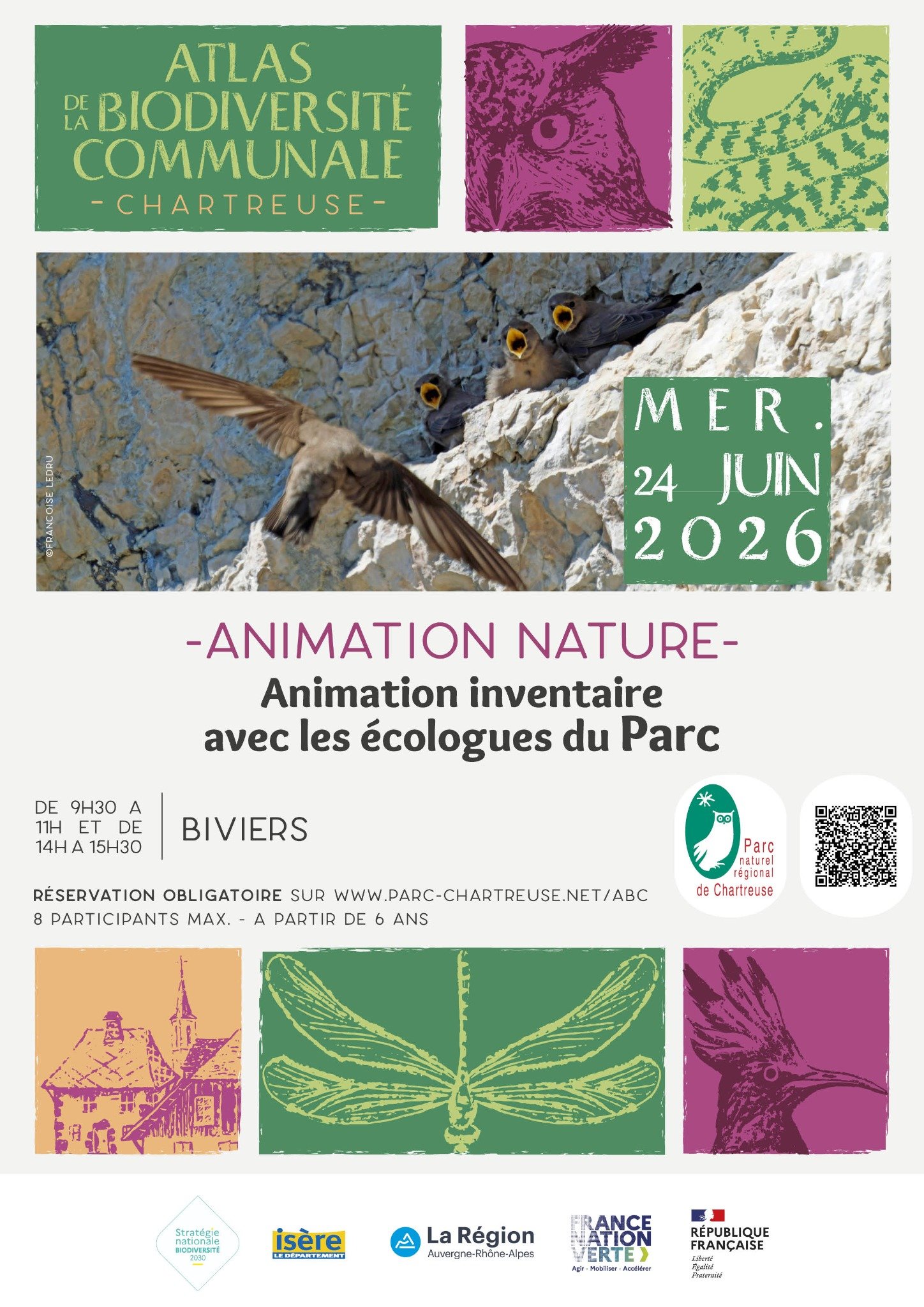 animation nature ABC.jpg