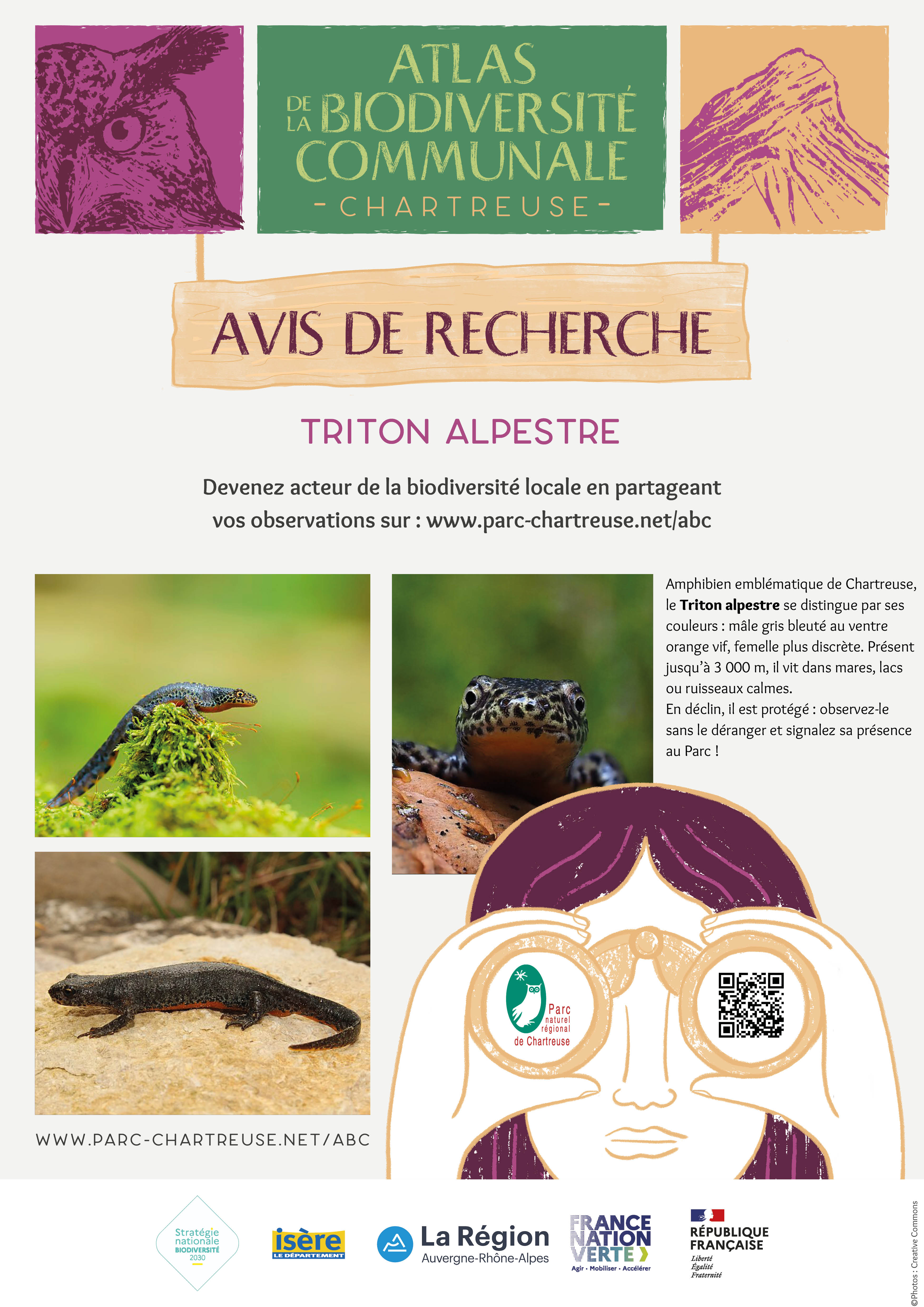 ABC Chartreuse - Affiche A3 Wanted - Triton Alpestre.jpg