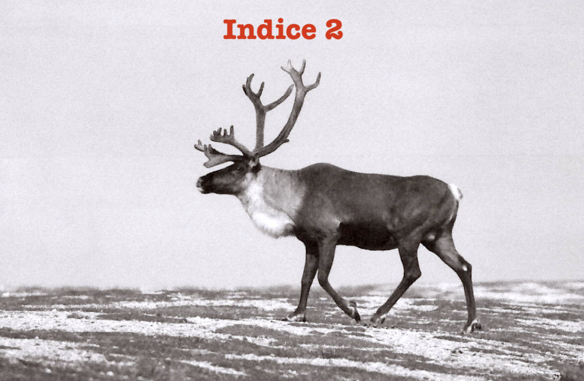 indice2.png