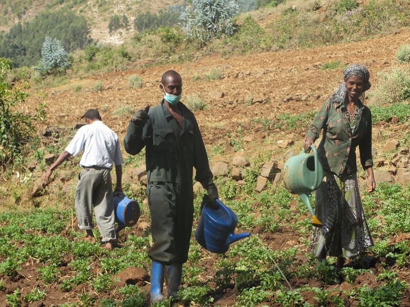 valorisation eocosan agriclture.jpg