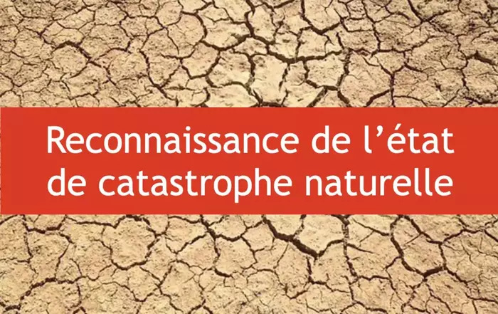 Cata-naturelle.jpg