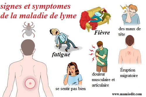 Lyme symptomes.jpg